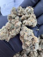 KEY LIME JACK STRAIN key lime jack strain effects key lime jack strain review key lime jack strain indica or sativa KEY LIME JACK WEED STRAIN