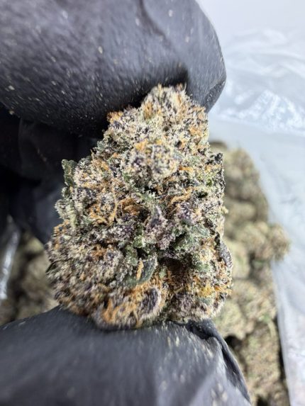 PURPLE RUNTZ STRAIN