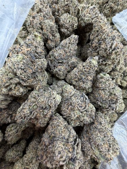 MEGA RUNTZ STRAIN mega runtz strain review mega runtz strain effects mega runtz strain indica or sativa mega runtz weed strain