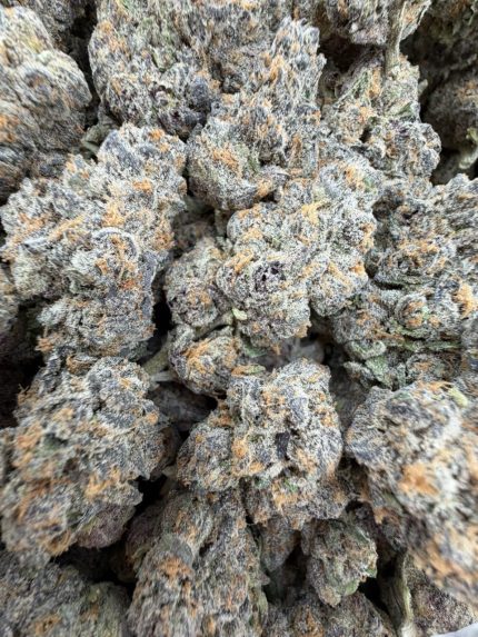 COSMIC BANANA STRAIN cosmic banana strain review cosmic banana strain indica or sativa cosmic banana weed strain cosmic banana strain decibel