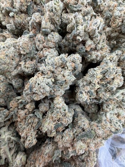 KEY LIME JACK STRAIN key lime jack strain effects key lime jack strain review key lime jack strain indica or sativa KEY LIME JACK WEED STRAIN