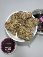 THE LOUD ALLIEN CANNABIS FARMS THE LOUD ALLIEN FARMS THE LOUD ALLIEN CANNABIS THE LOUD ALLIEN FLOWER THE LOUD ALLIEN SMALL BATCH FLOWER