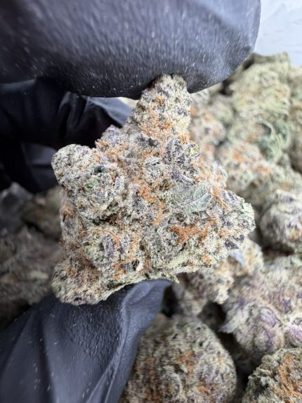 TAHOE OG STRAIN tahoe og strain effects tahoe og strain indica or sativa tahoe og strain review