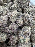 OBAMA RUNTZ STRAIN obama runtz strain indica or sativa OBAMA RUNTZ weed STRAIN OBAMA RUNTZ cannabis STRAIN obama runtz weed effects