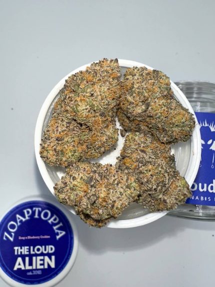 THE LOUD ALLIEN CANNABIS FARMS THE LOUD ALLIEN FARMS THE LOUD ALLIEN CANNABIS THE LOUD ALLIEN FLOWER THE LOUD ALLIEN SMALL BATCH FLOWER