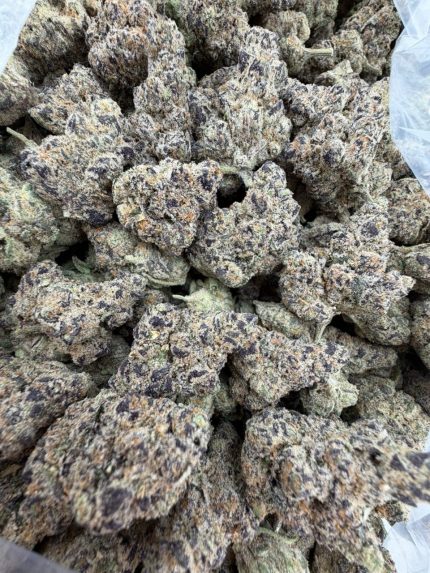 BLUEBERRY MUFFIN STRAIN blueberry muffin strain effects blueberry muffin strain indica or sativa blueberry muffin strain review blueberry muffin weed strain