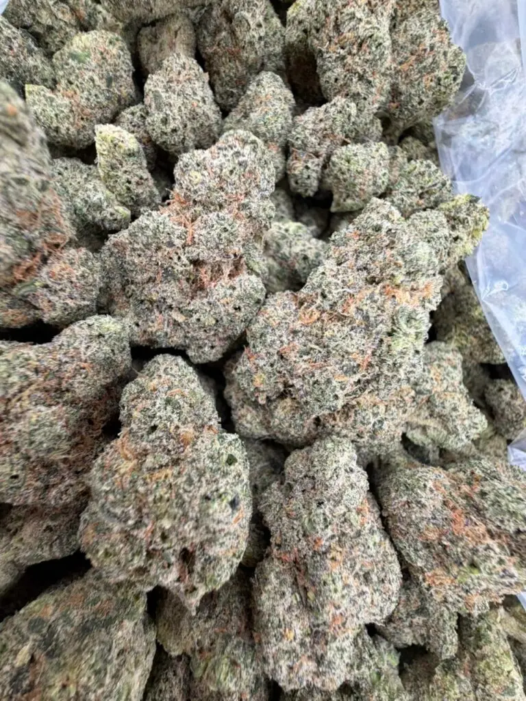 94 OCTANE STRAIN 94 octane strain review high octane 94 strain octane 94 strain