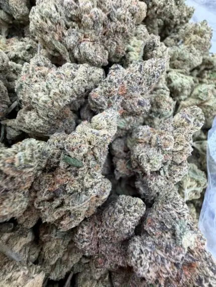 MODIFIED BANANA STRAIN modified bananas strain modified banana strain effects modified banana strain review modified banana strain indica or sativa modified banana weed strain