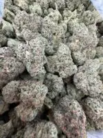 MIAMI RUNTZ STRAIN MIAMI RUNTZ WEED STRAIN miami runtz strain review miami runtz strain indica or sativa miami runtz strain effects