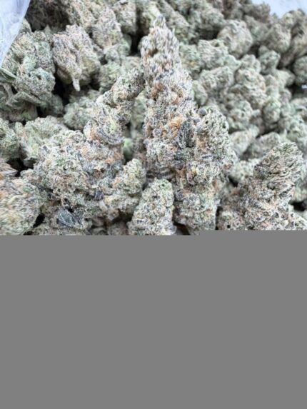 GARLIC JUICE STRAIN GMO juice strain garlic juice weed strain garlic juice strain effects garlic juice strain indica or sativa garlic juice strain review
