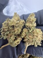 Green Crack Strain , green crack strain effects, green crack strain near me, green crack strain indica or sativa, green crack strain review,green crack weed effects