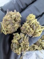 Purple Runtz weed strain, purple runtz strain, purple runtz strain indica or sativa, purple runtz strain effects, purple runtz strain review, purple runtz weed