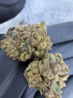 gelato 33 strain, gelato 33 strain effects, gelato 33 strain indica or sativa, gelato 33 strain review, gelato 33 cali weed, gelato 33 weed