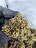 gelato 33 strain, gelato 33 strain effects, gelato 33 strain indica or sativa, gelato 33 strain review, gelato 33 cali weed, gelato 33 weed