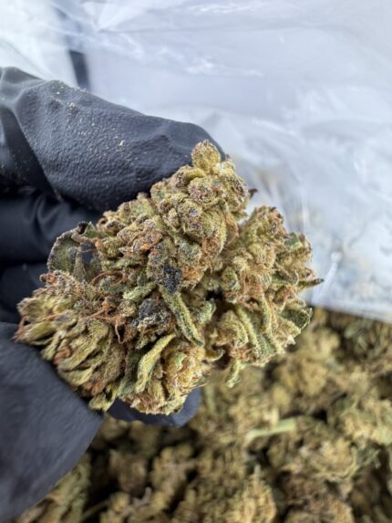 gelato 33 strain, gelato 33 strain effects, gelato 33 strain indica or sativa, gelato 33 strain review, gelato 33 cali weed, gelato 33 weed