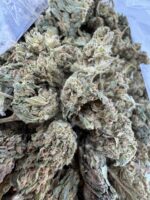 Green Crack Strain , green crack strain effects, green crack strain near me, green crack strain indica or sativa, green crack strain review,green crack weed effects