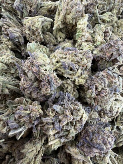 Purple Runtz weed strain, purple runtz strain, purple runtz strain indica or sativa, purple runtz strain effects, purple runtz strain review, purple runtz weed