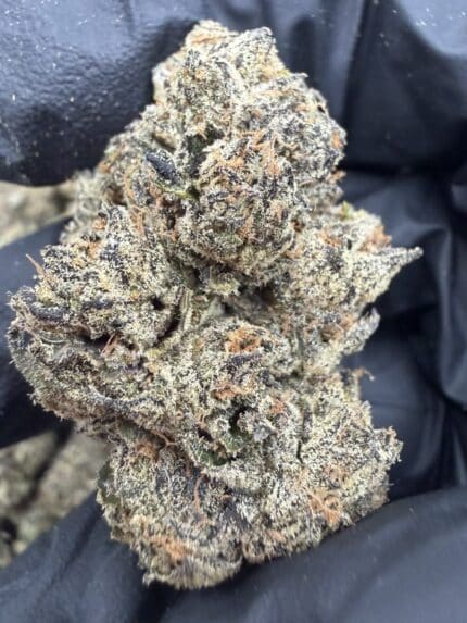 blue pop strain, blue pop strain indica or sativa, blue pop weed, blue bomb pop strain, blue pop strain review