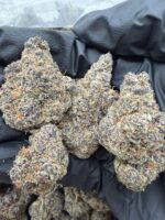 RAINBOW BOMB STRAIN, RAINBOW BOMB WEED STRAIN, rainbow bomb weed, rainbow papaya bomb strain, rainbow glitter bomb strain