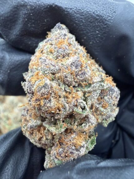 lemon z strain, lemon z strain effects, lemon z strain indica or sativa, lemon z strain review, lemon zest strain