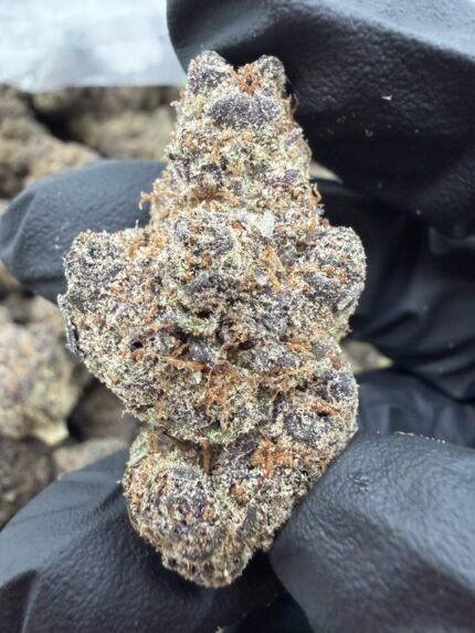 RAINBOW BOMB STRAIN, RAINBOW BOMB WEED STRAIN, rainbow bomb weed, rainbow papaya bomb strain, rainbow glitter bomb strain
