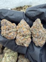 lemon z strain, lemon z strain effects, lemon z strain indica or sativa, lemon z strain review, lemon zest strain