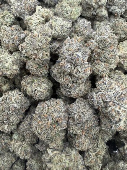 blue pop strain, blue pop strain indica or sativa, blue pop weed, blue bomb pop strain, blue pop strain review