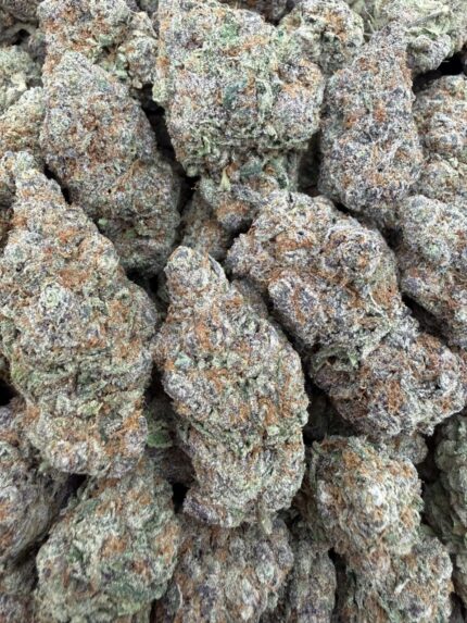lemon z strain, lemon z strain effects, lemon z strain indica or sativa, lemon z strain review, lemon zest strain